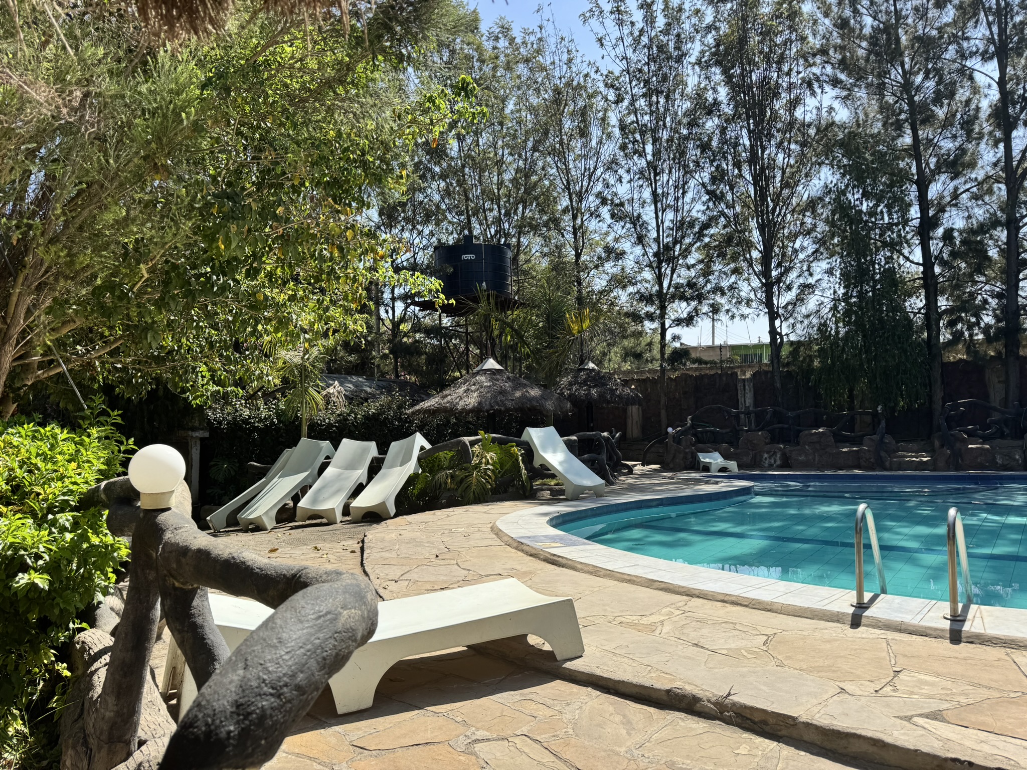 Dove Nest Lodge Swimming Pool, Naivasha