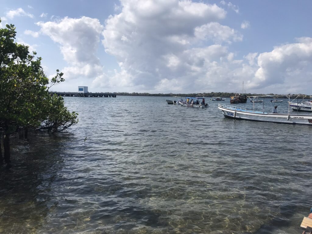 Wasini Island