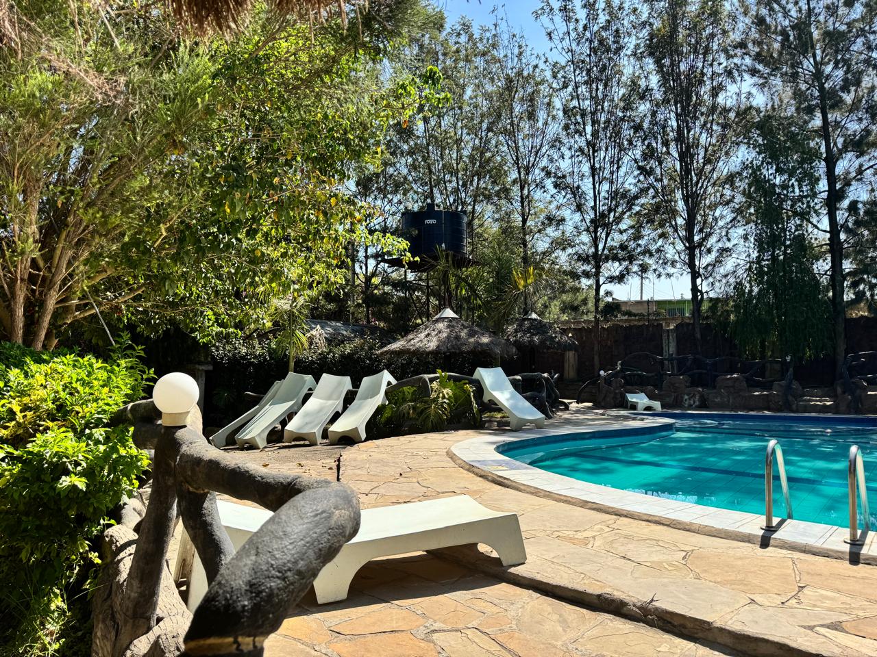 Dove Nest Lodge Pool Area