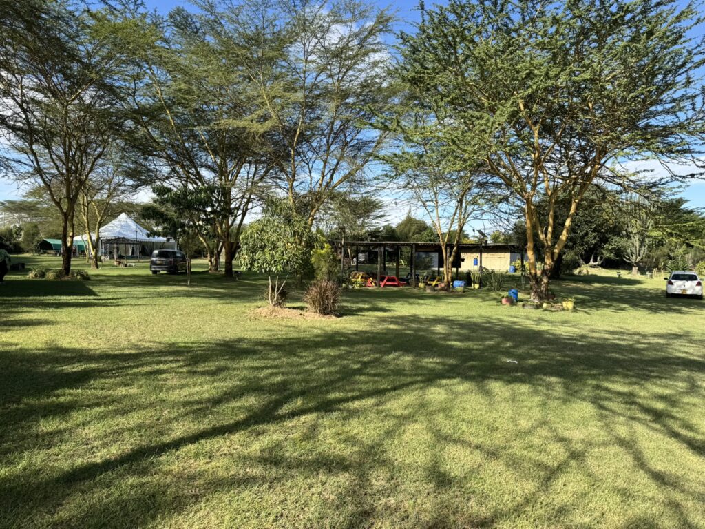 Camp Beduoin grounds